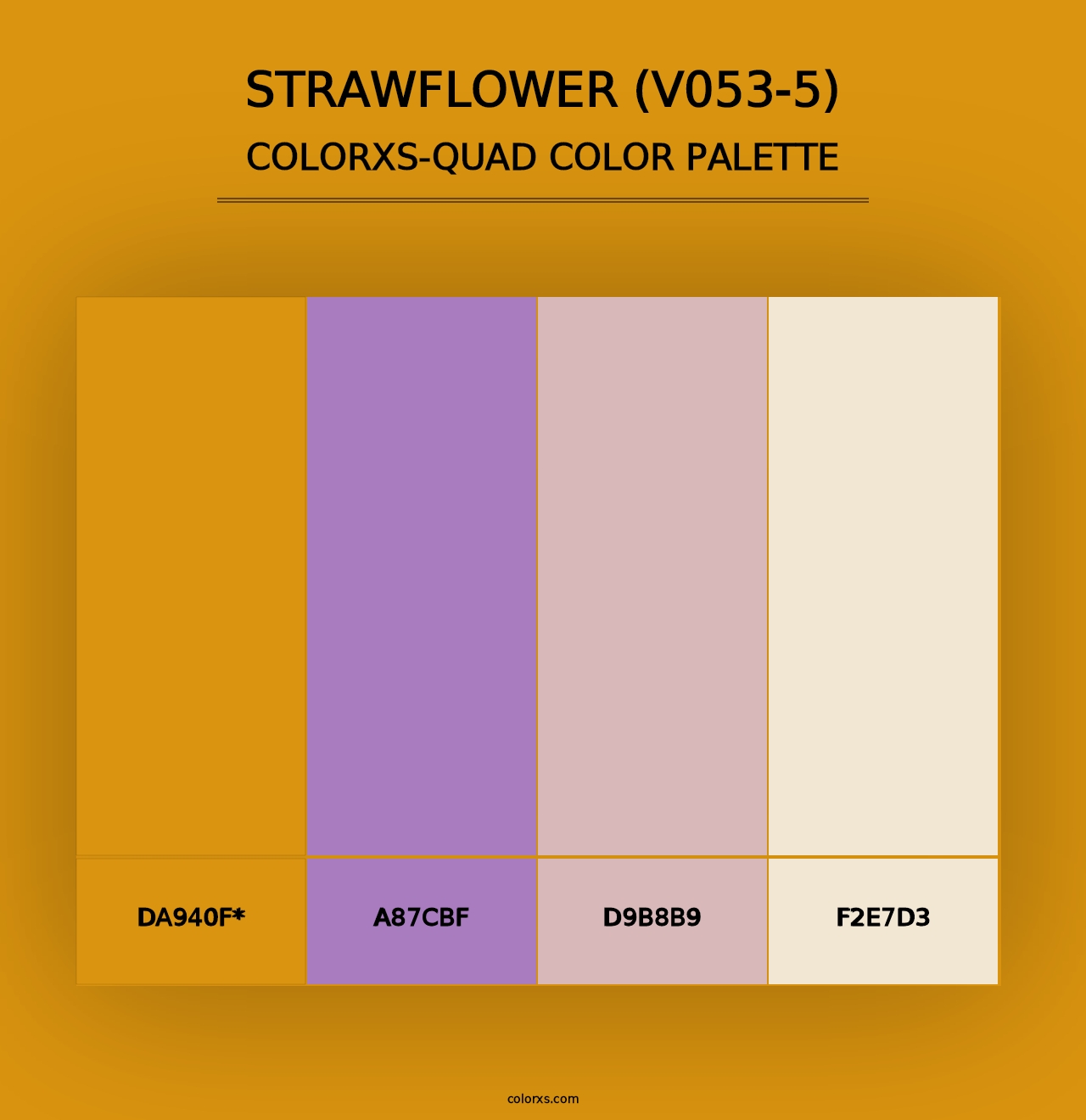 Strawflower (V053-5) - Colorxs Quad Palette