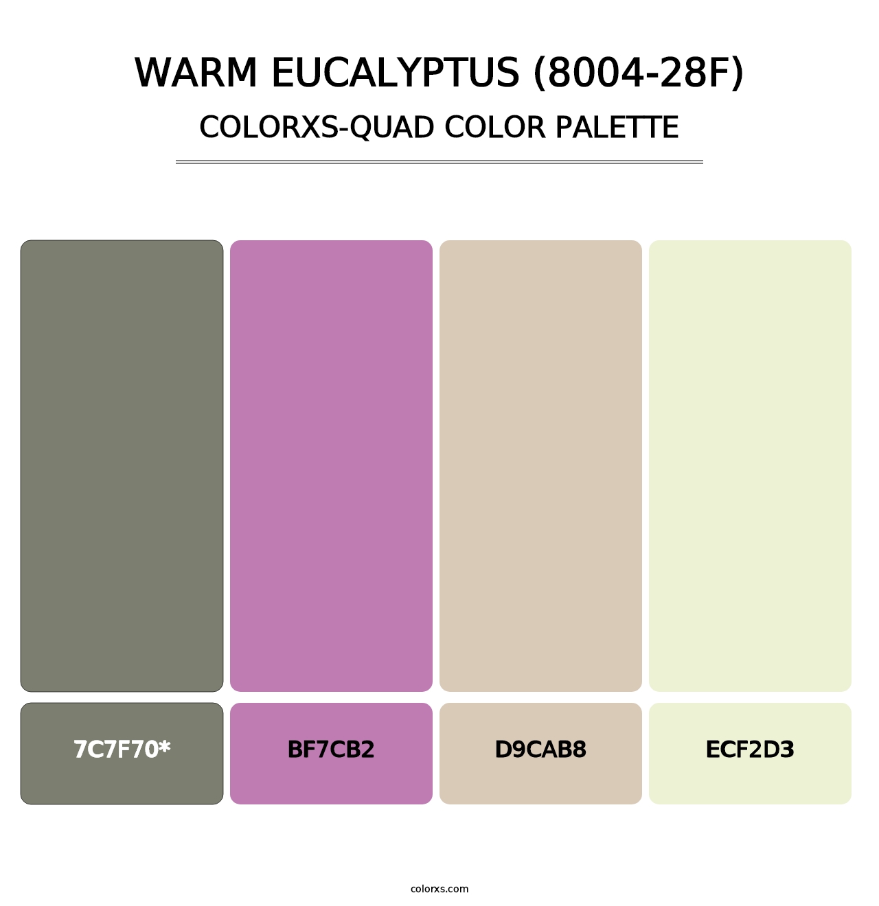 Warm Eucalyptus (8004-28F) - Colorxs Quad Palette