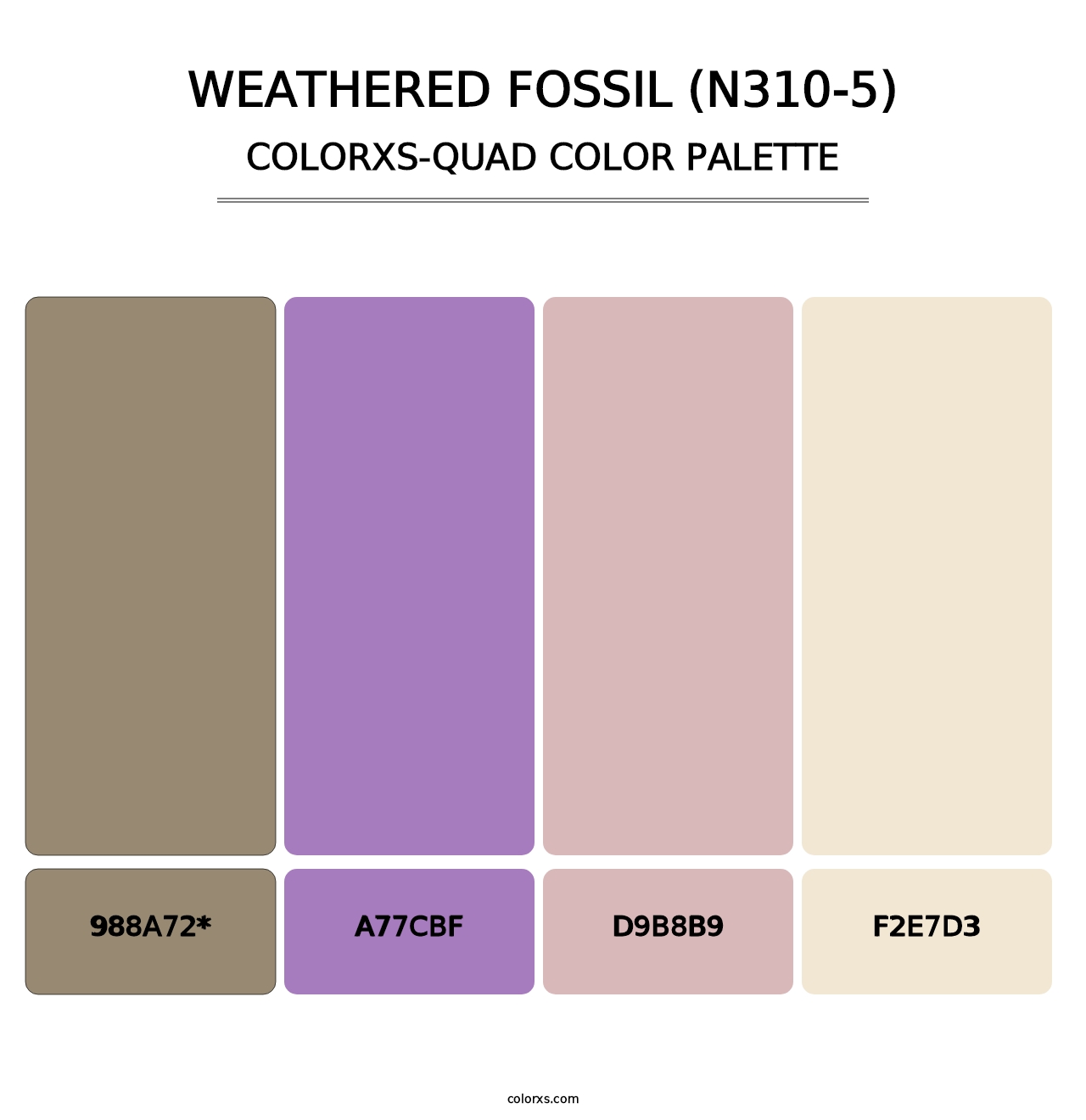 Weathered Fossil (N310-5) - Colorxs Quad Palette