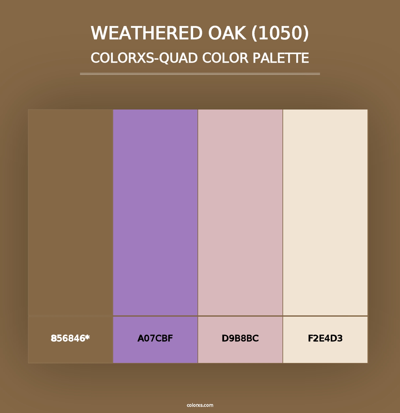 Weathered Oak (1050) - Colorxs Quad Palette