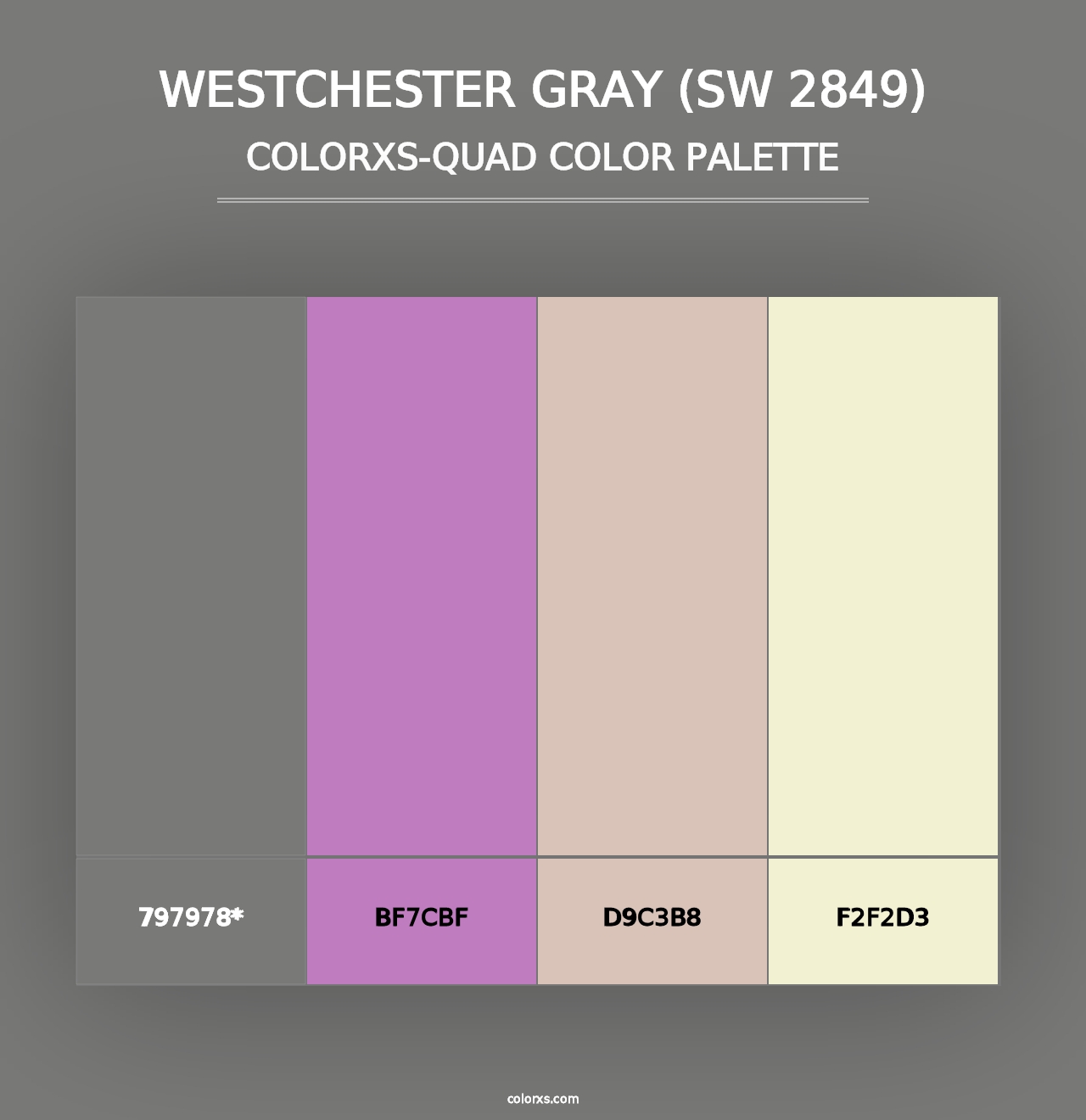 Westchester Gray (SW 2849) - Colorxs Quad Palette