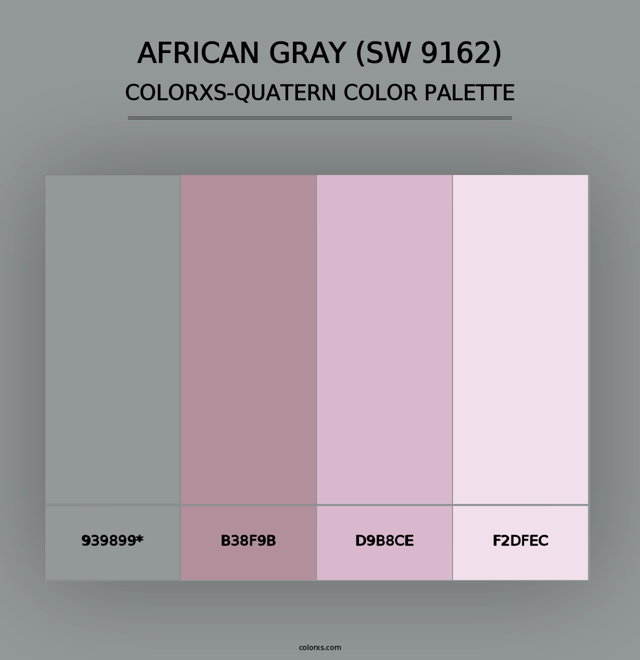 African Gray (SW 9162) - Colorxs Quad Palette