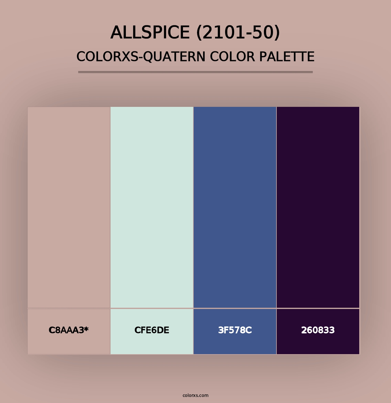 Allspice (2101-50) - Colorxs Quad Palette