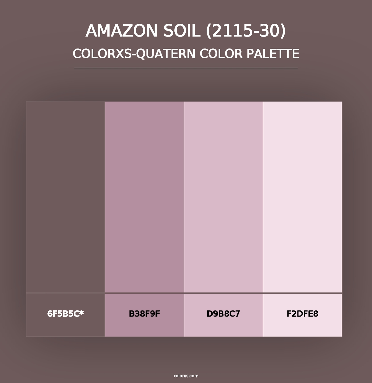 Amazon Soil (2115-30) - Colorxs Quad Palette