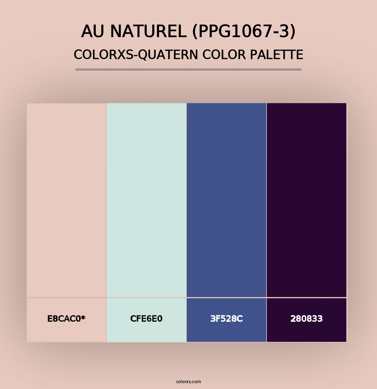 Au Naturel (PPG1067-3) - Colorxs Quad Palette