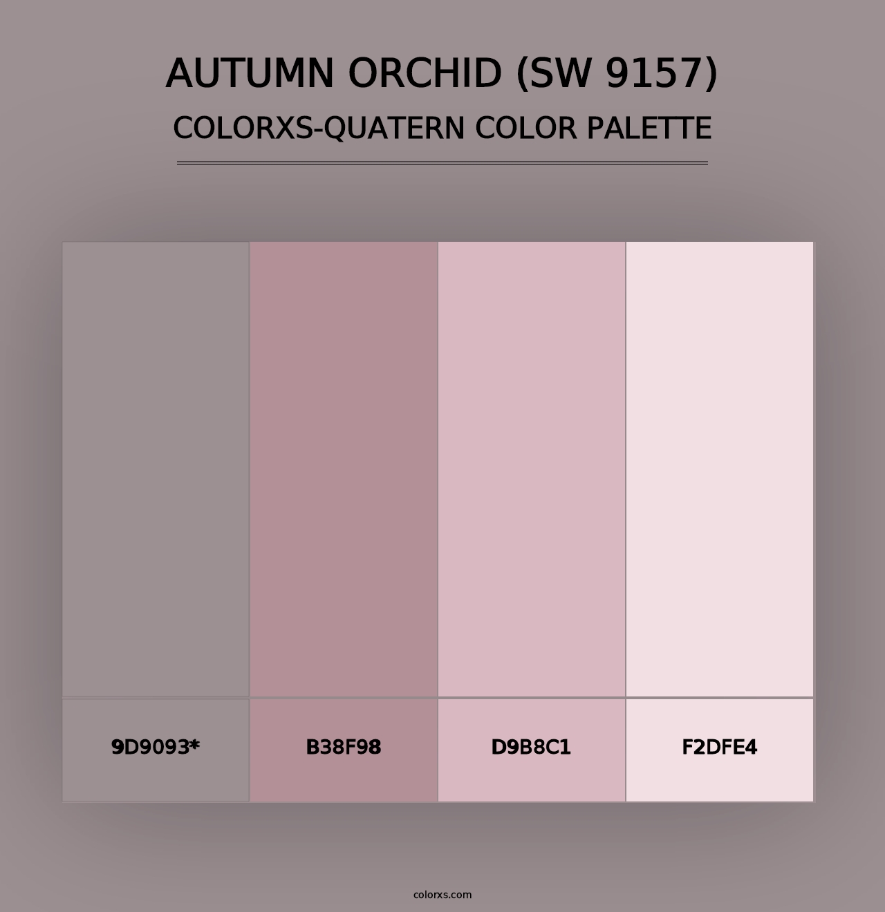 Autumn Orchid (SW 9157) - Colorxs Quad Palette