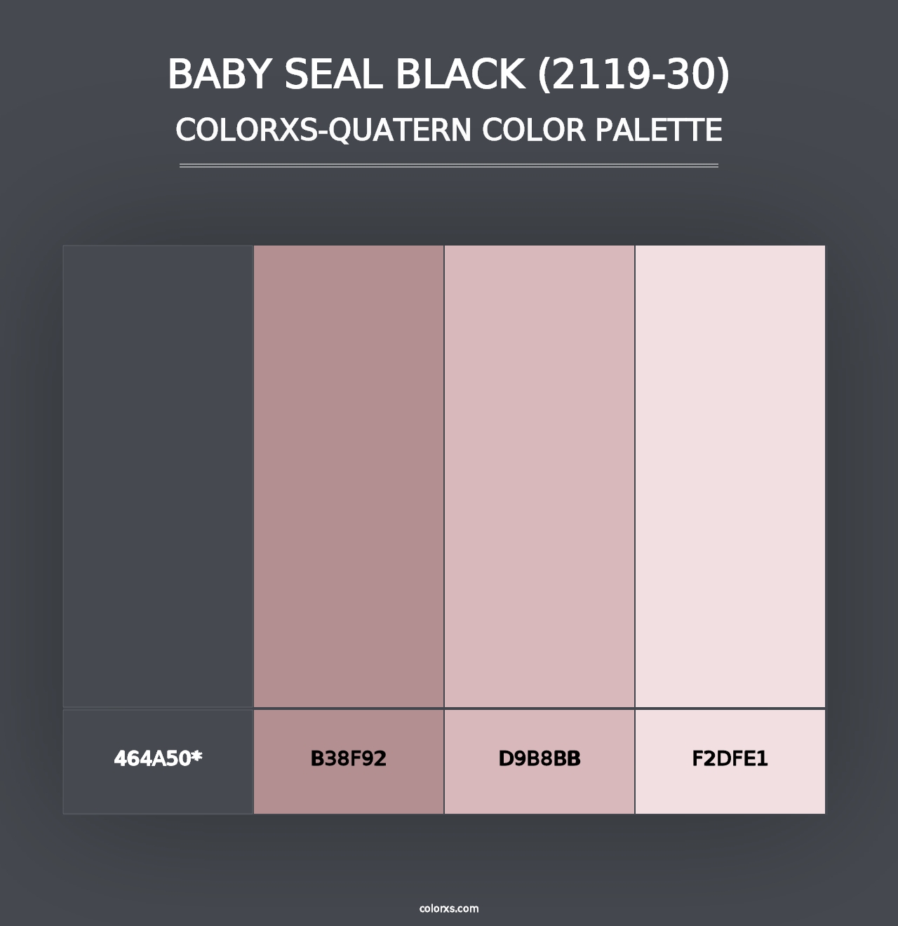 Baby Seal Black (2119-30) - Colorxs Quad Palette