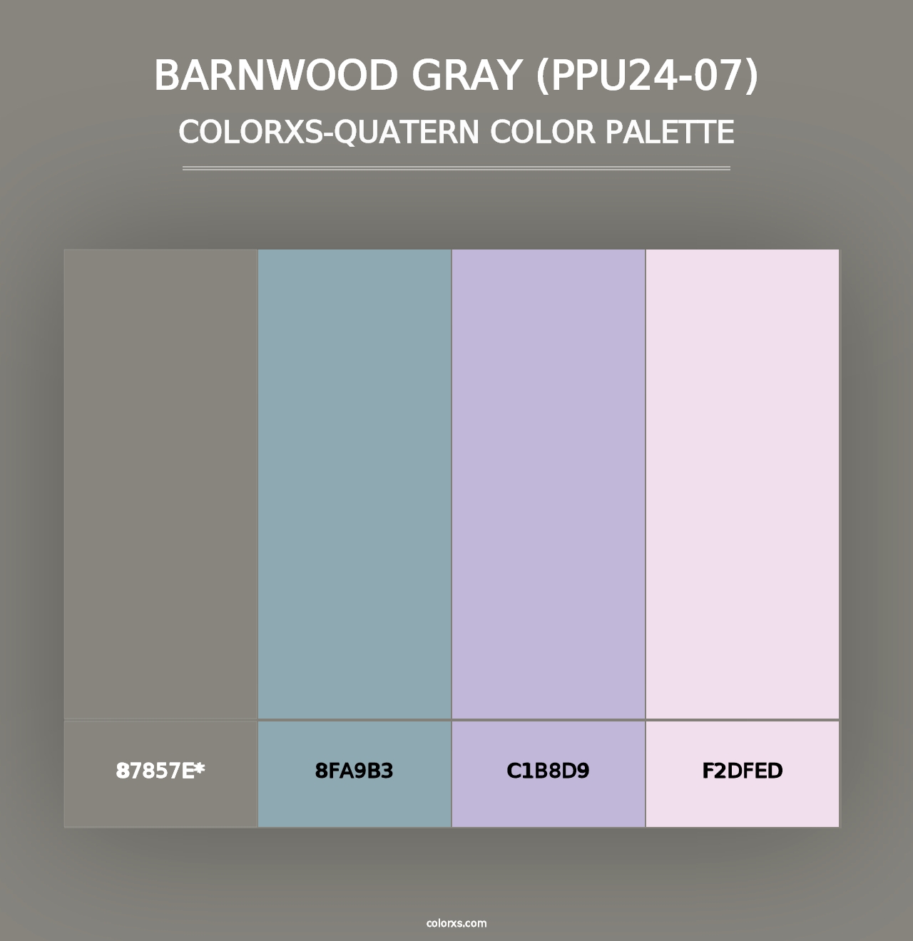 Barnwood Gray (PPU24-07) - Colorxs Quad Palette