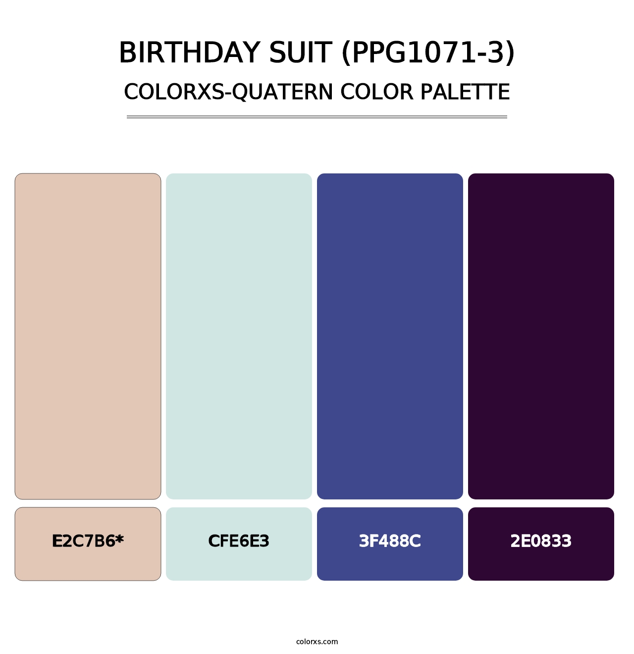 Birthday Suit (PPG1071-3) - Colorxs Quad Palette