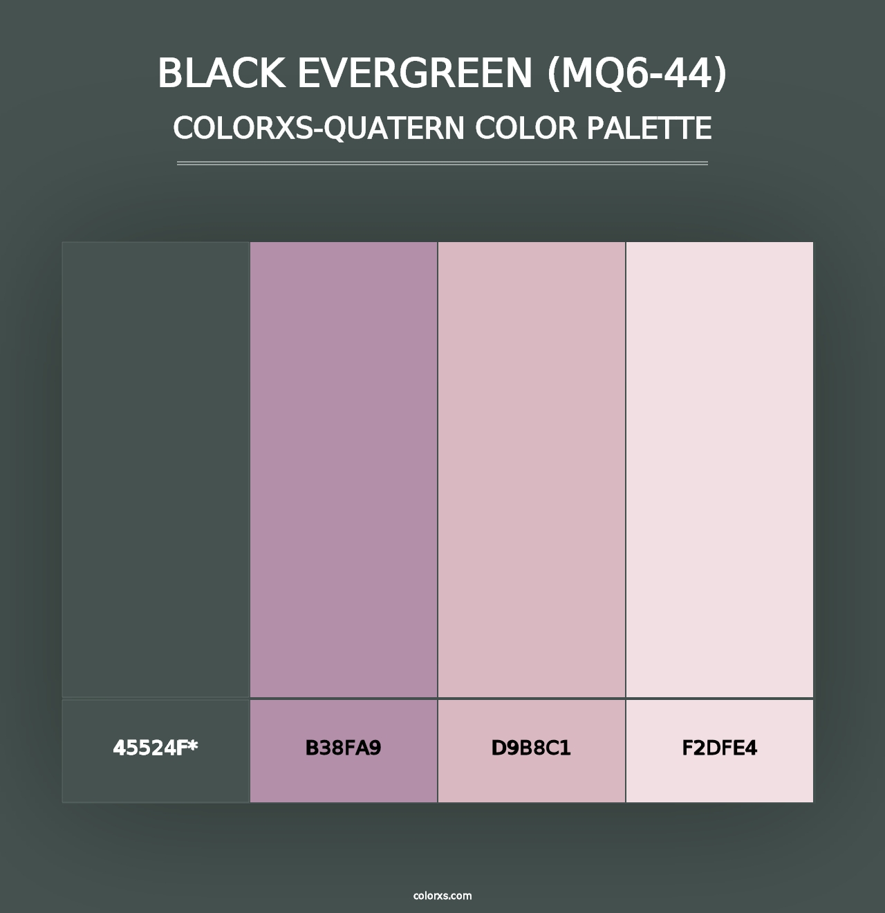 Black Evergreen (MQ6-44) - Colorxs Quad Palette