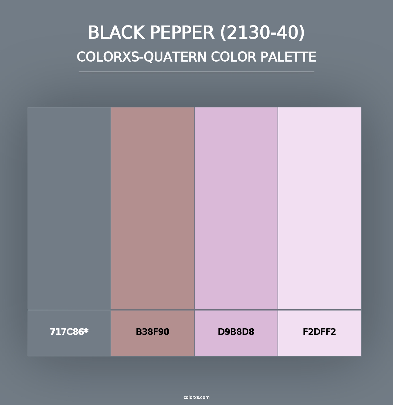 Black Pepper (2130-40) - Colorxs Quad Palette