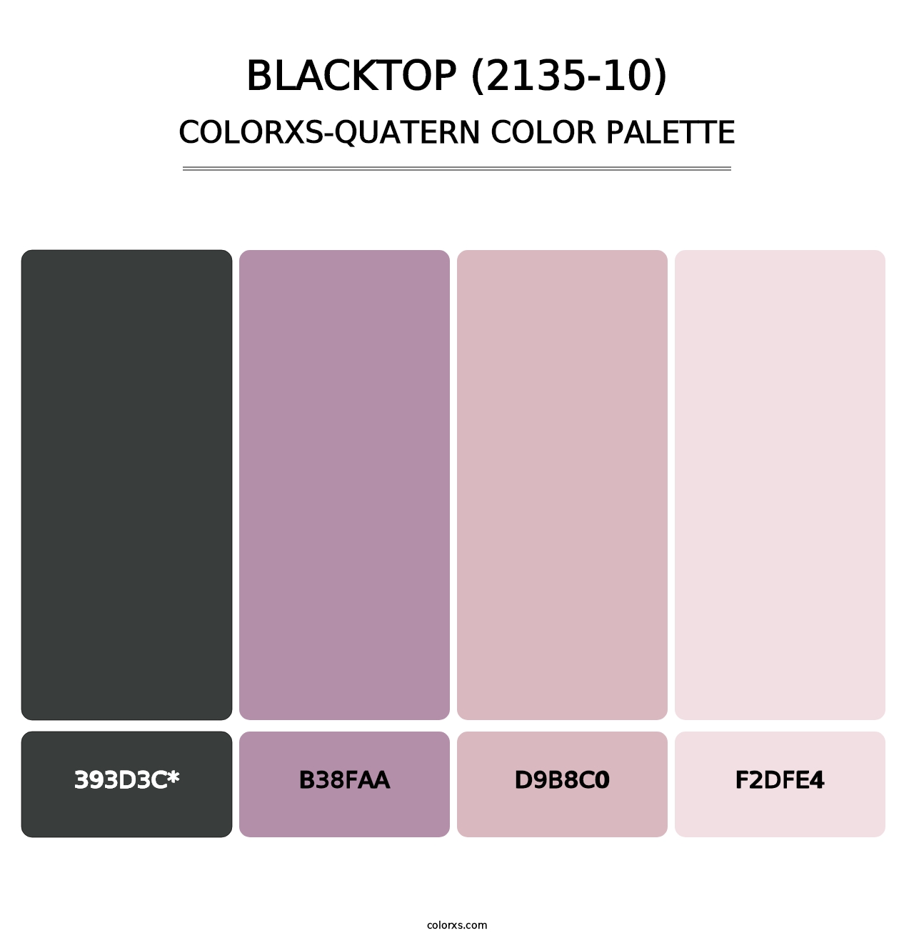 Blacktop (2135-10) - Colorxs Quad Palette