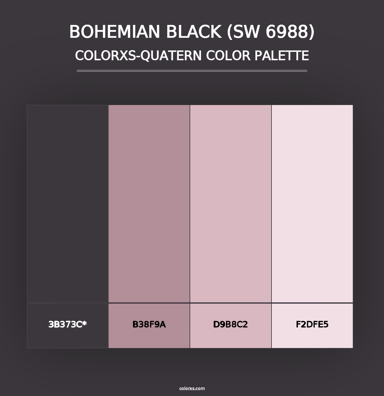 Bohemian Black (SW 6988) - Colorxs Quad Palette