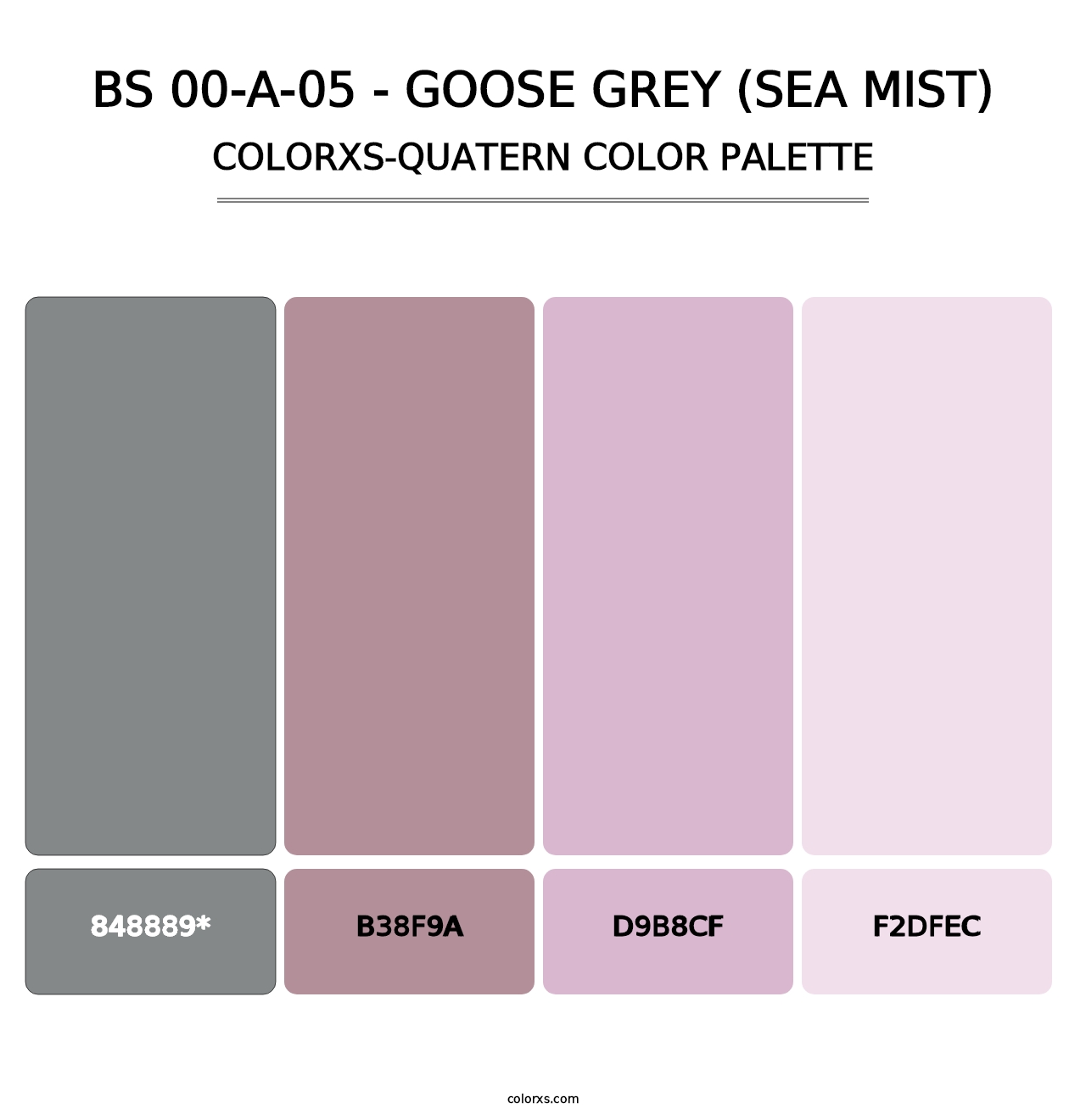 BS 00-A-05 - Goose Grey (Sea Mist) - Colorxs Quad Palette