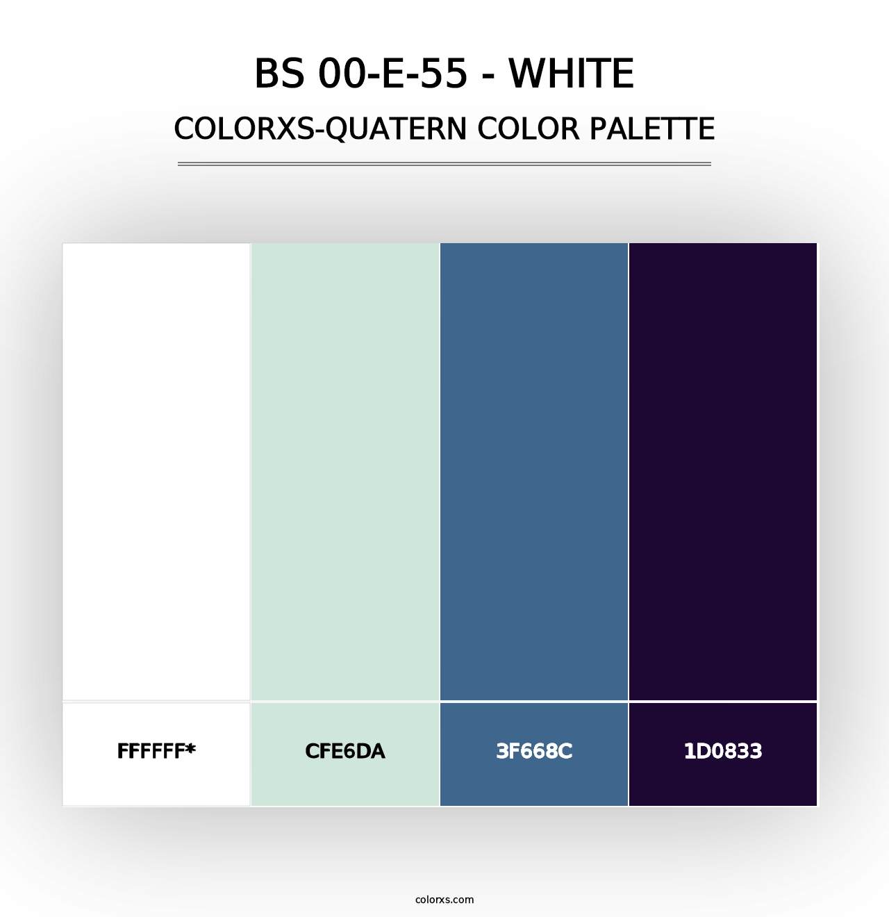 BS 00-E-55 - White - Colorxs Quad Palette