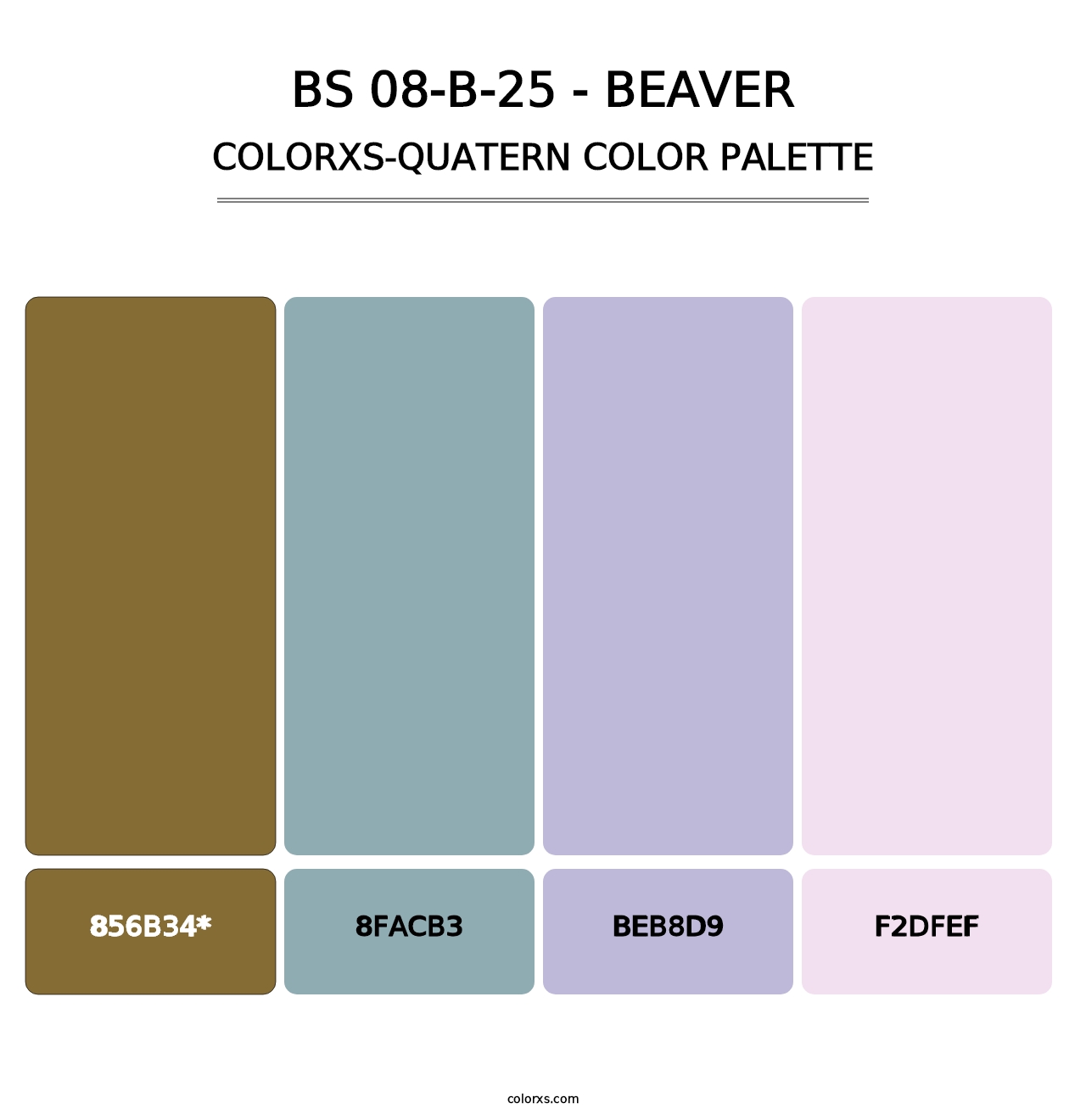 BS 08-B-25 - Beaver - Colorxs Quad Palette