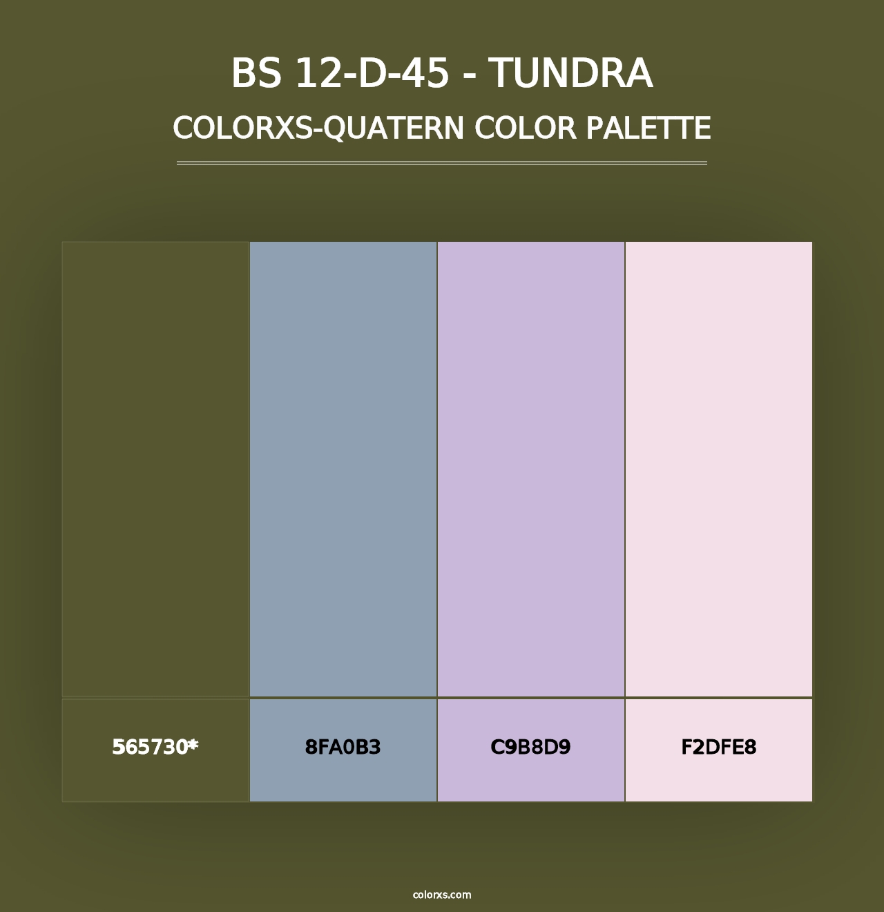 BS 12-D-45 - Tundra - Colorxs Quad Palette