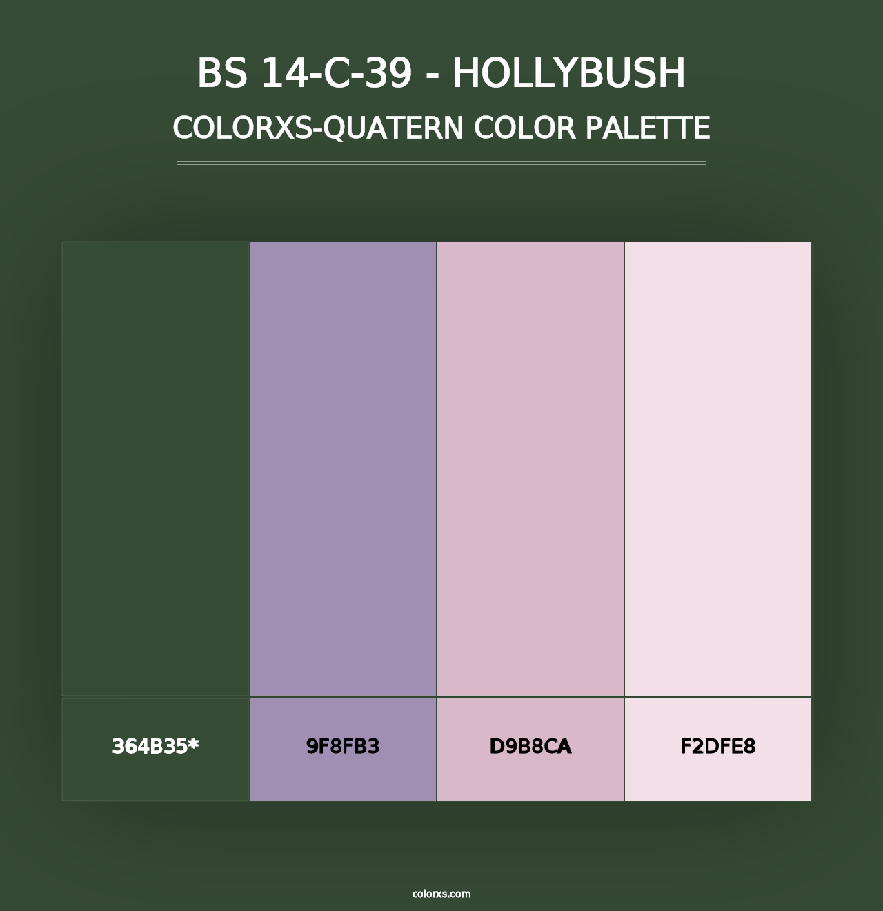 BS 14-C-39 - Hollybush - Colorxs Quad Palette