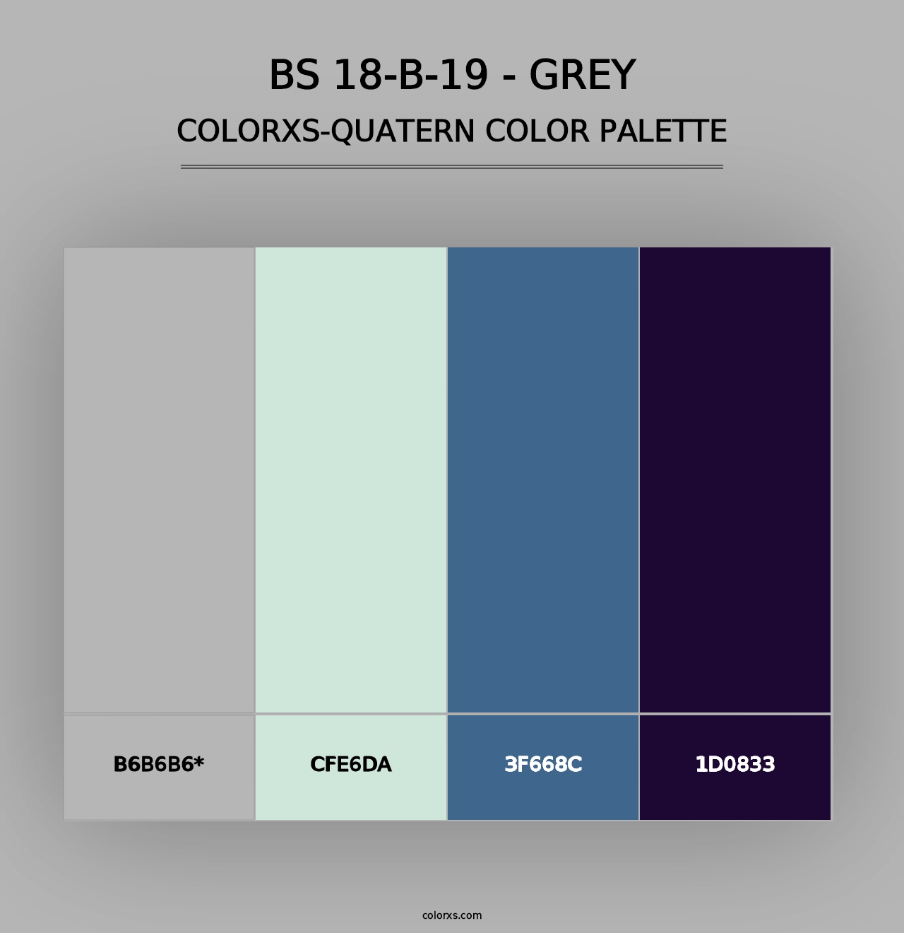 BS 18-B-19 - Grey - Colorxs Quad Palette