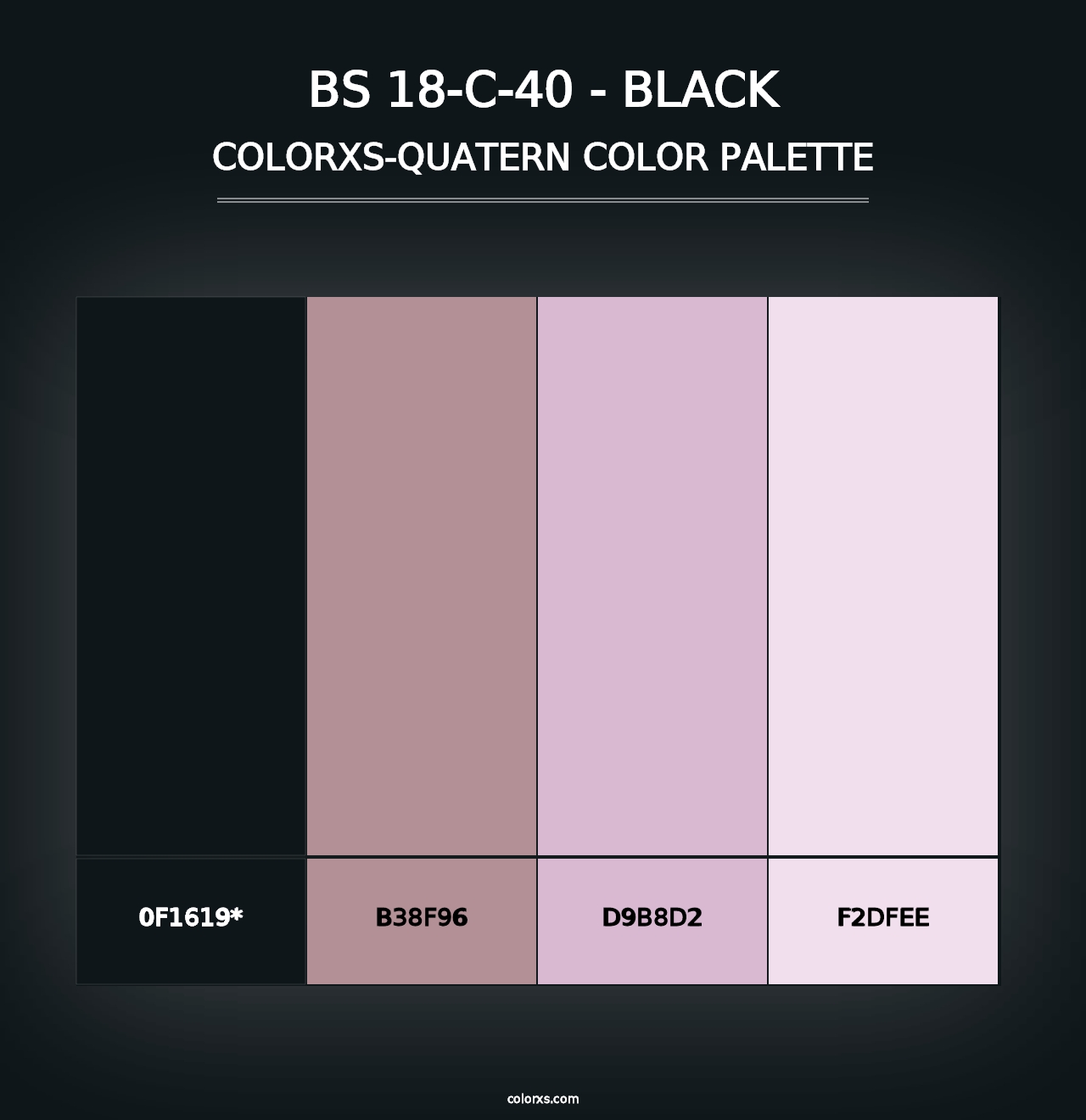 BS 18-C-40 - Black - Colorxs Quad Palette