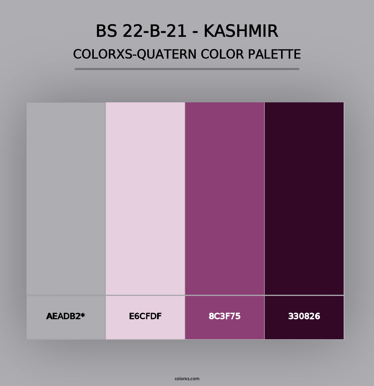 BS 22-B-21 - Kashmir - Colorxs Quad Palette