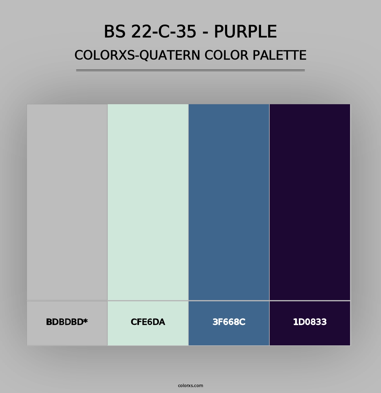 BS 22-C-35 - Purple - Colorxs Quad Palette