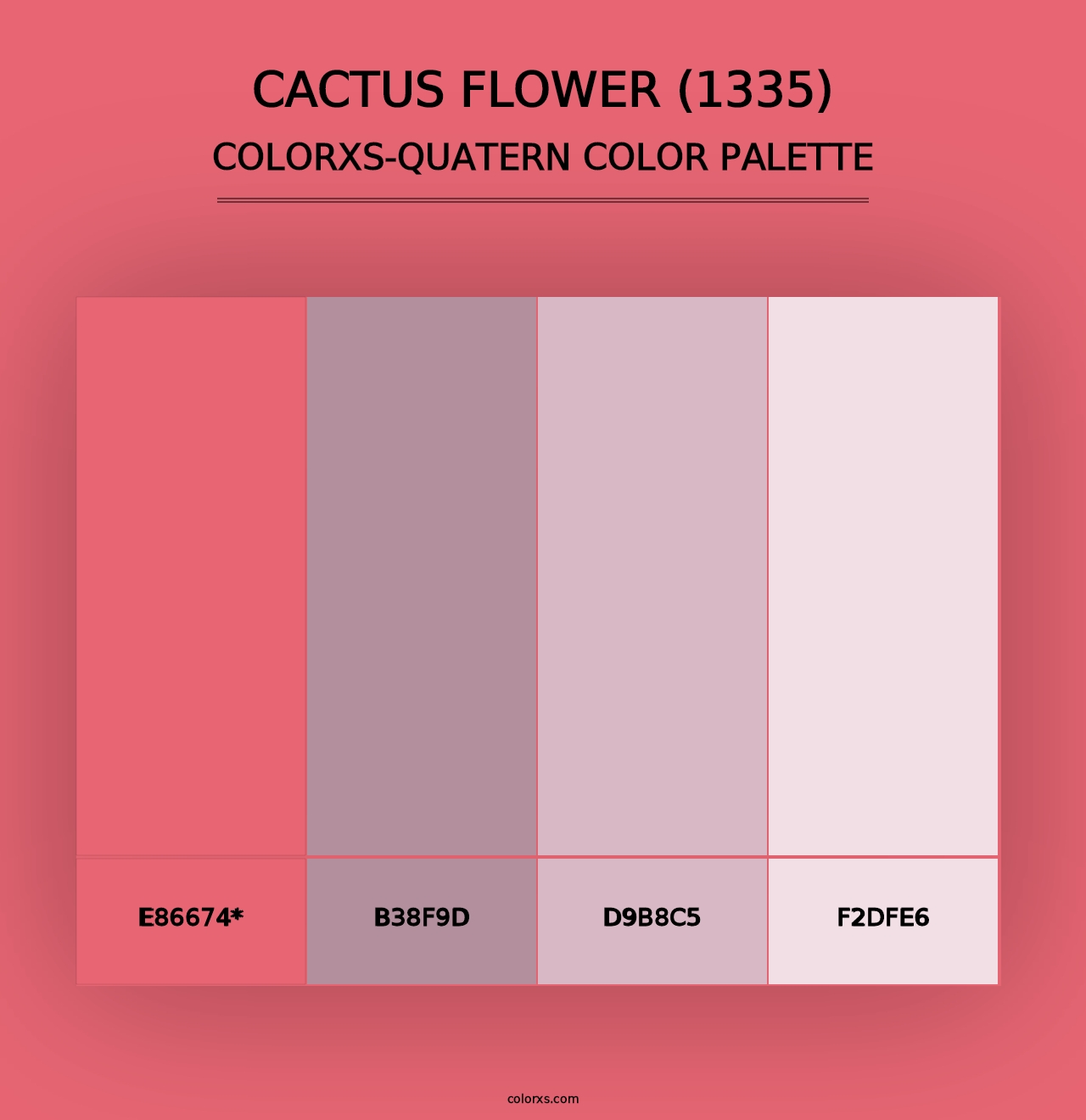 Cactus Flower (1335) - Colorxs Quad Palette