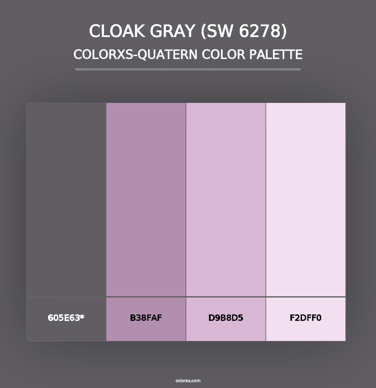 Cloak Gray (SW 6278) - Colorxs Quad Palette