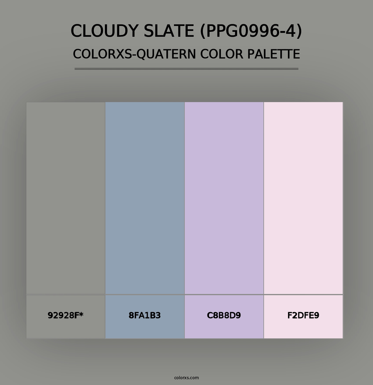 Cloudy Slate (PPG0996-4) - Colorxs Quad Palette