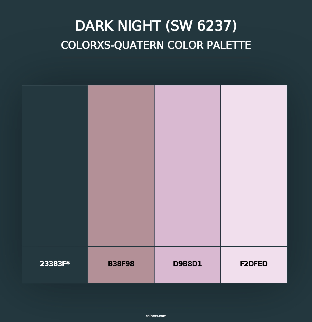 Dark Night (SW 6237) - Colorxs Quad Palette