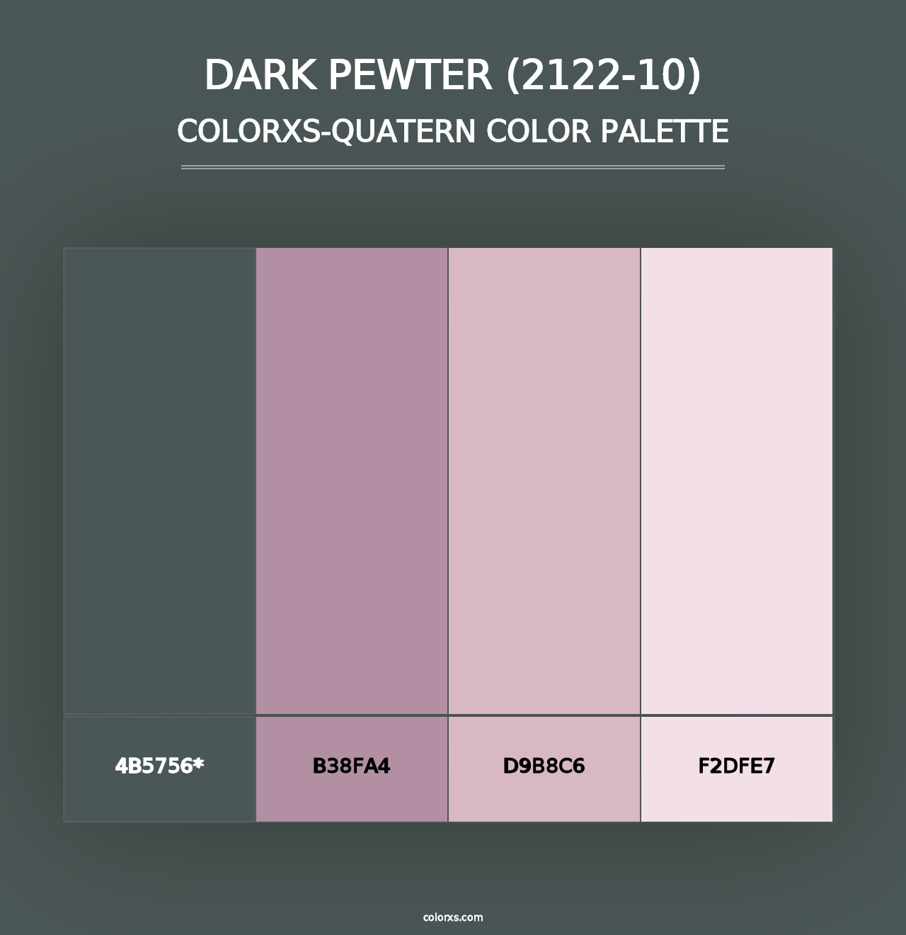 Dark Pewter (2122-10) - Colorxs Quad Palette