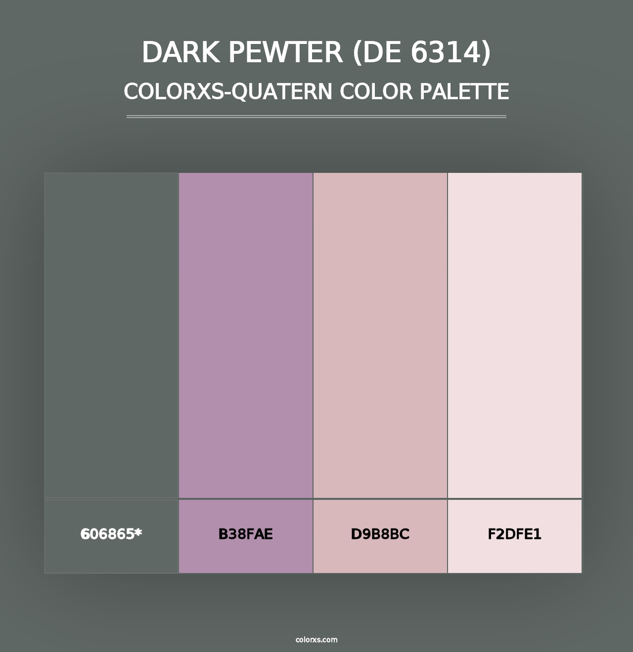 Dark Pewter (DE 6314) - Colorxs Quad Palette