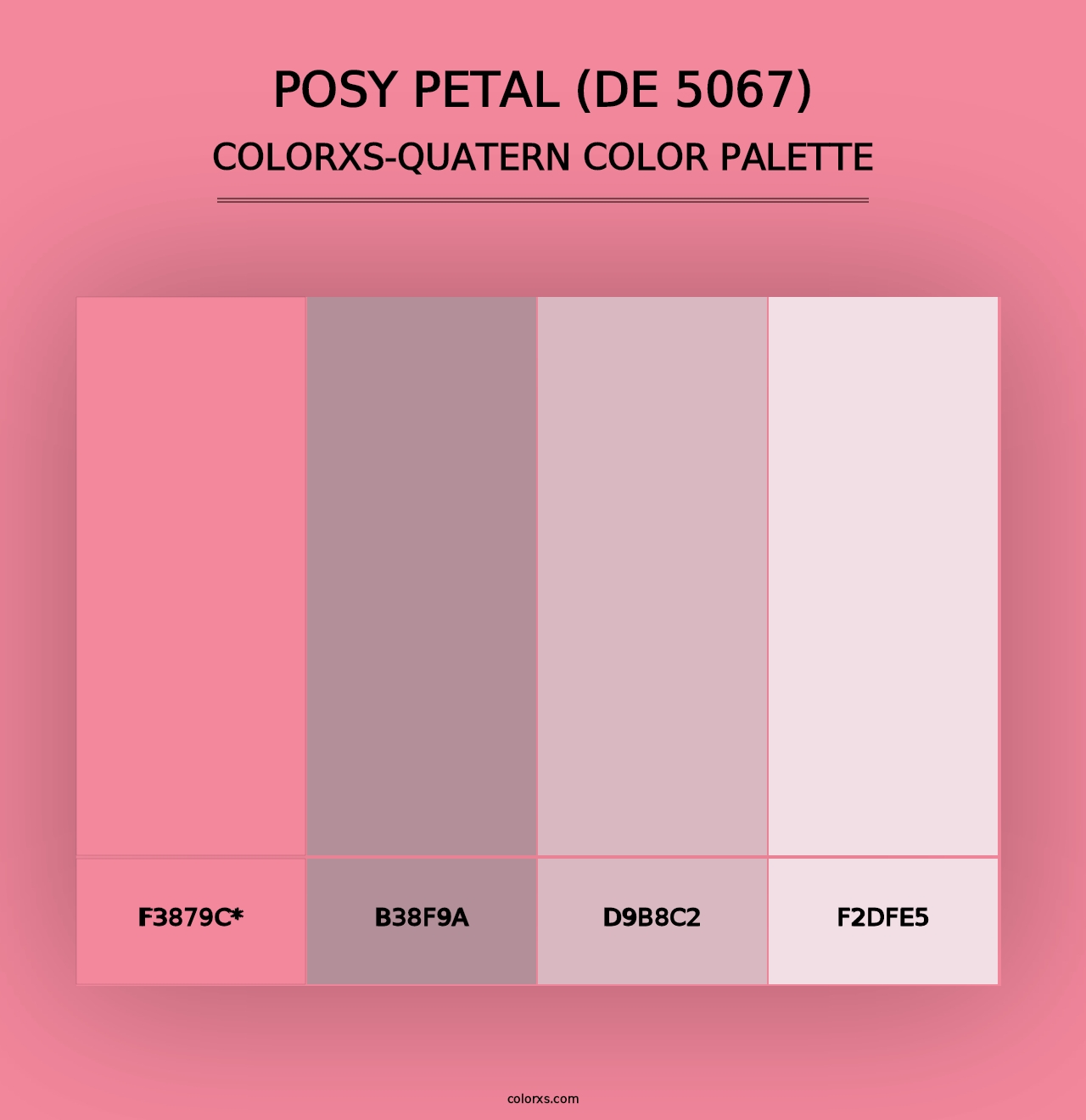 Posy Petal (DE 5067) - Colorxs Quad Palette