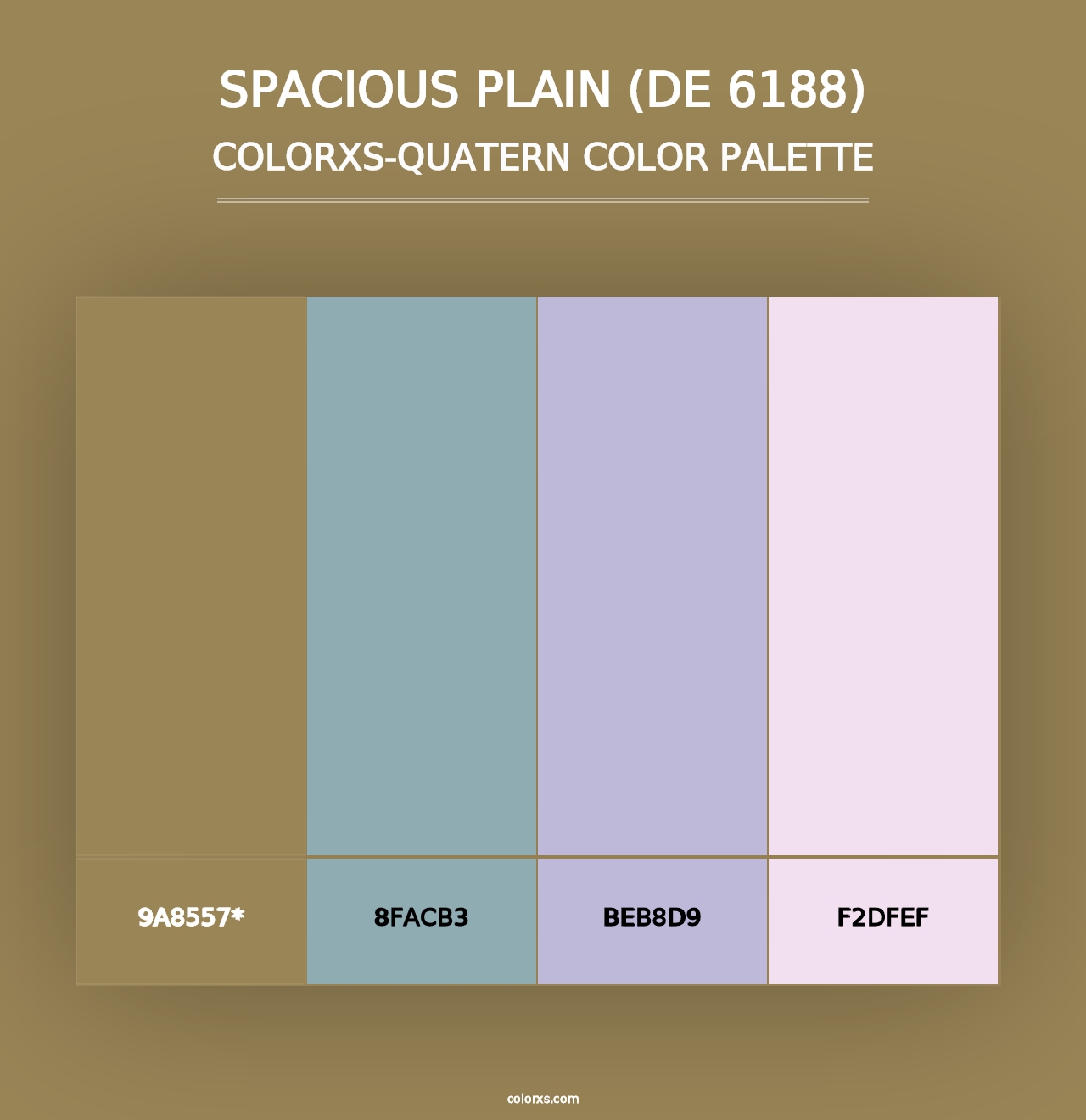 Spacious Plain (DE 6188) - Colorxs Quad Palette