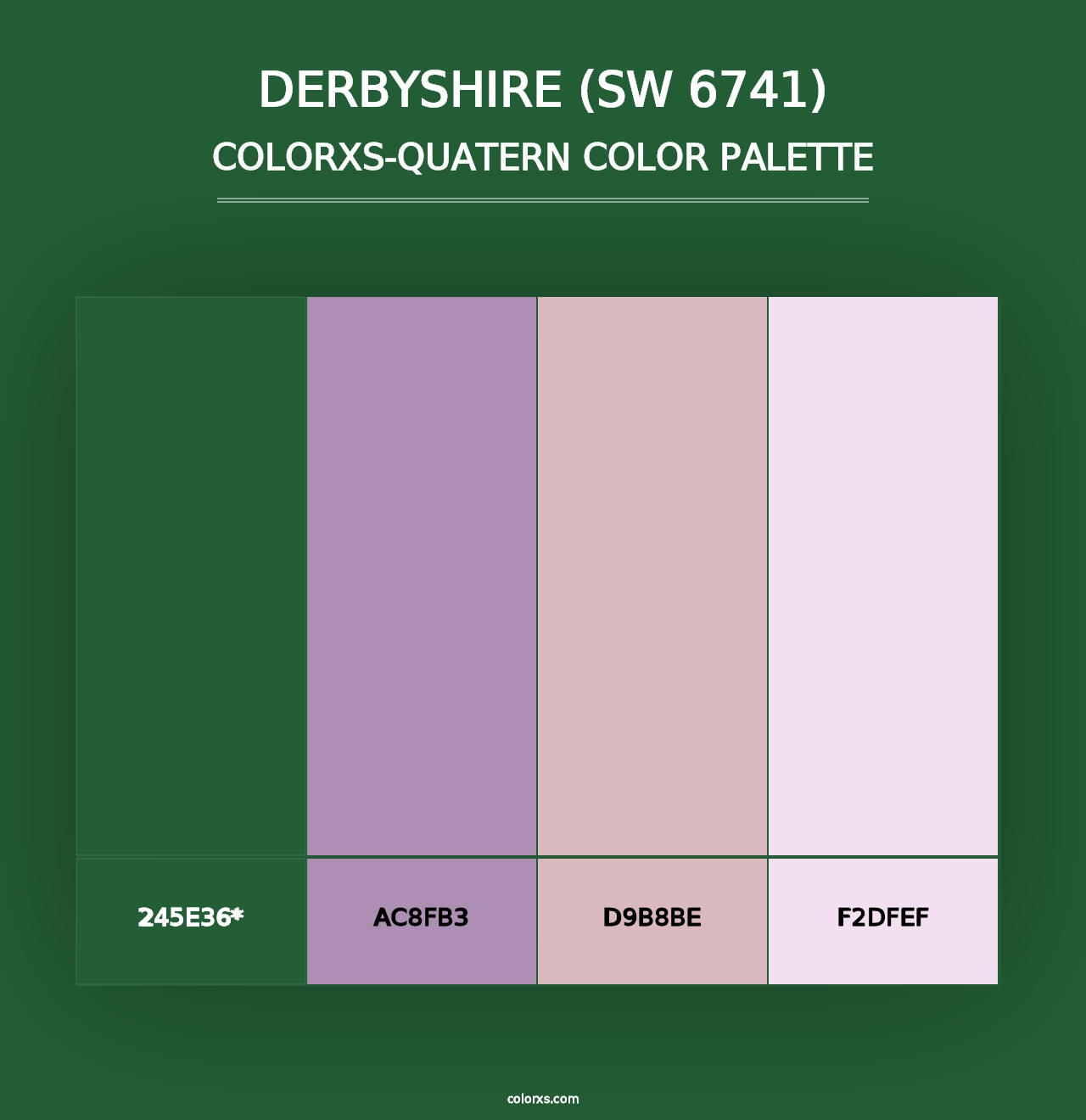 Derbyshire (SW 6741) - Colorxs Quad Palette