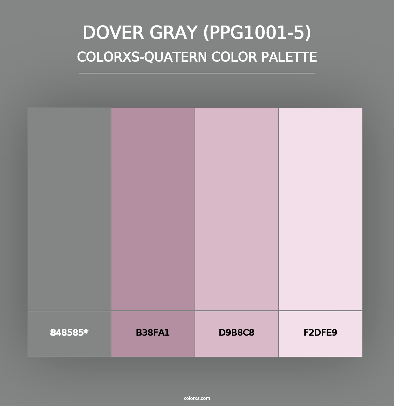 Dover Gray (PPG1001-5) - Colorxs Quad Palette