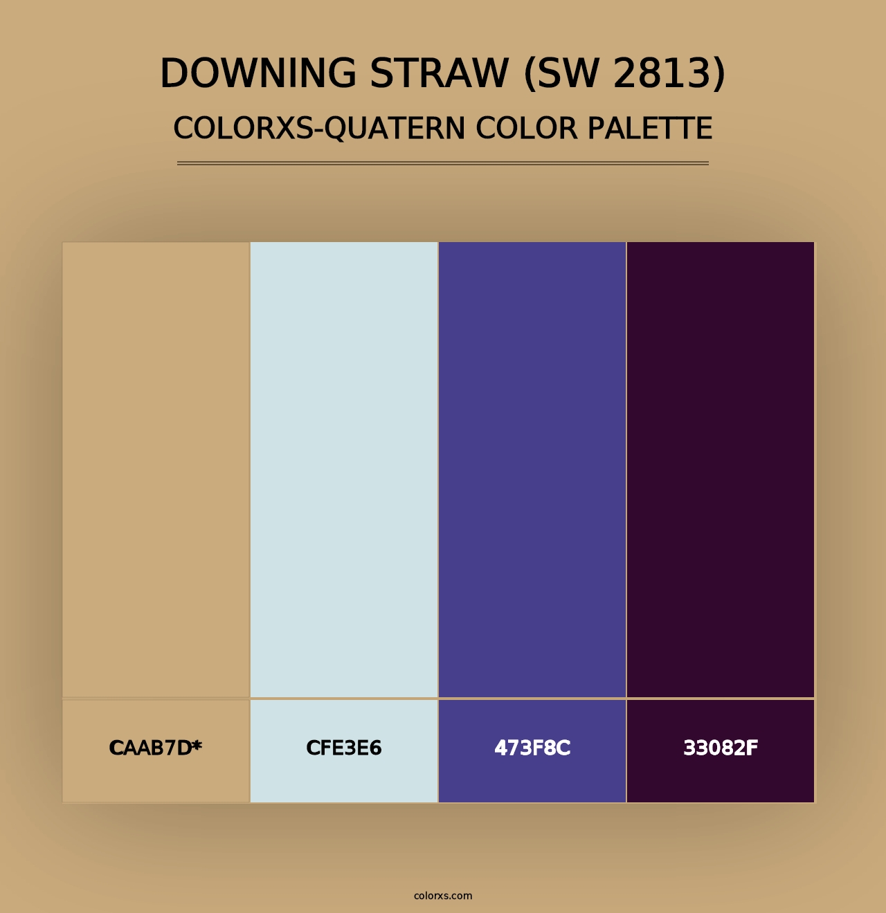 Downing Straw (SW 2813) - Colorxs Quad Palette