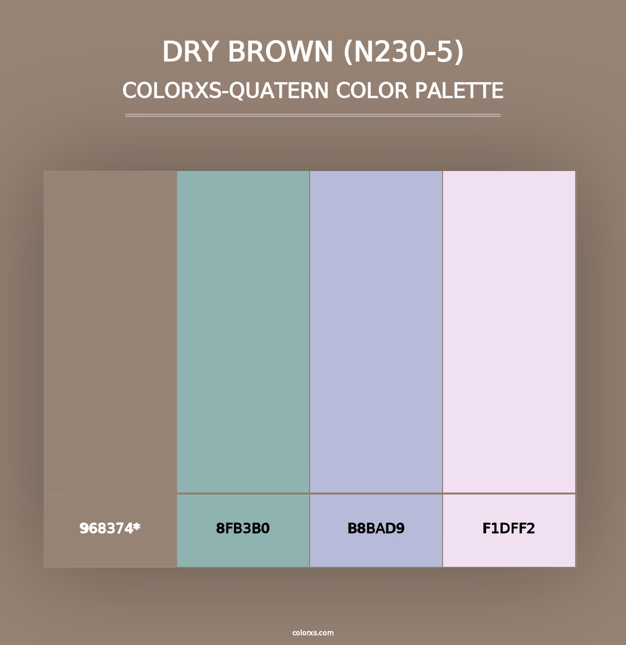 Dry Brown (N230-5) - Colorxs Quad Palette