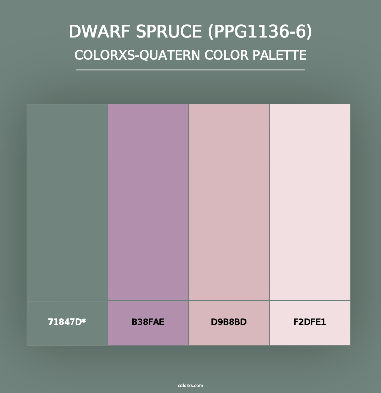 Dwarf Spruce (PPG1136-6) - Colorxs Quad Palette