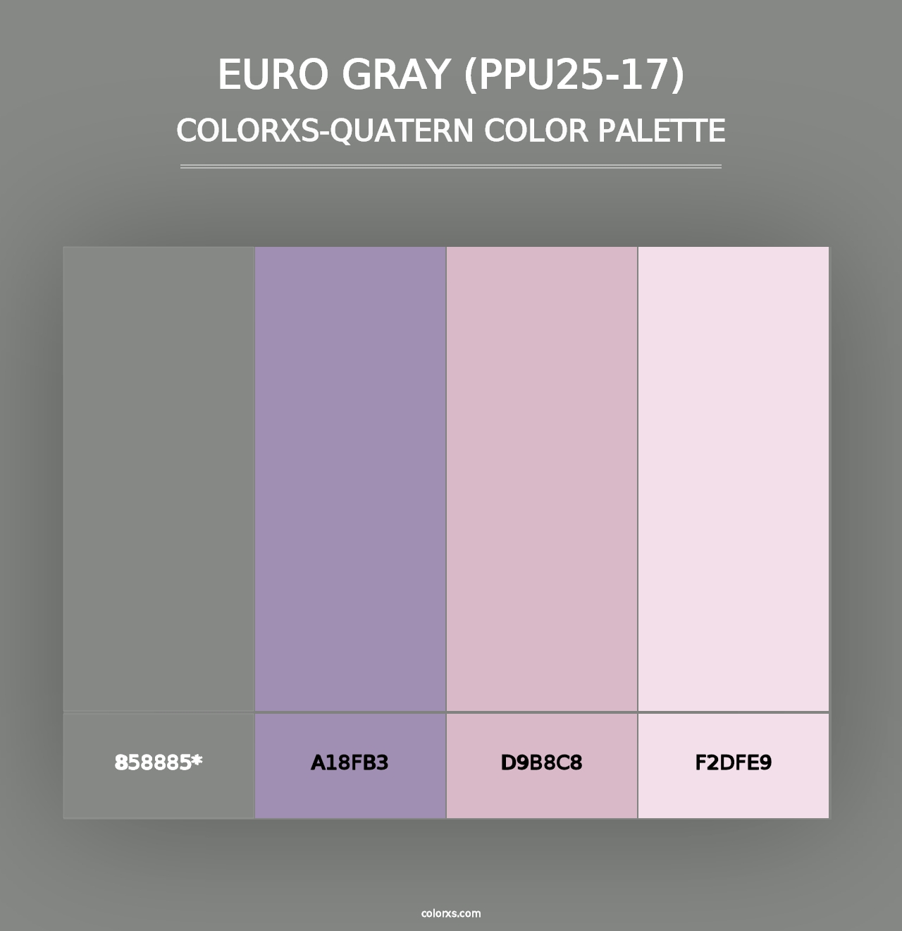 Euro Gray (PPU25-17) - Colorxs Quad Palette