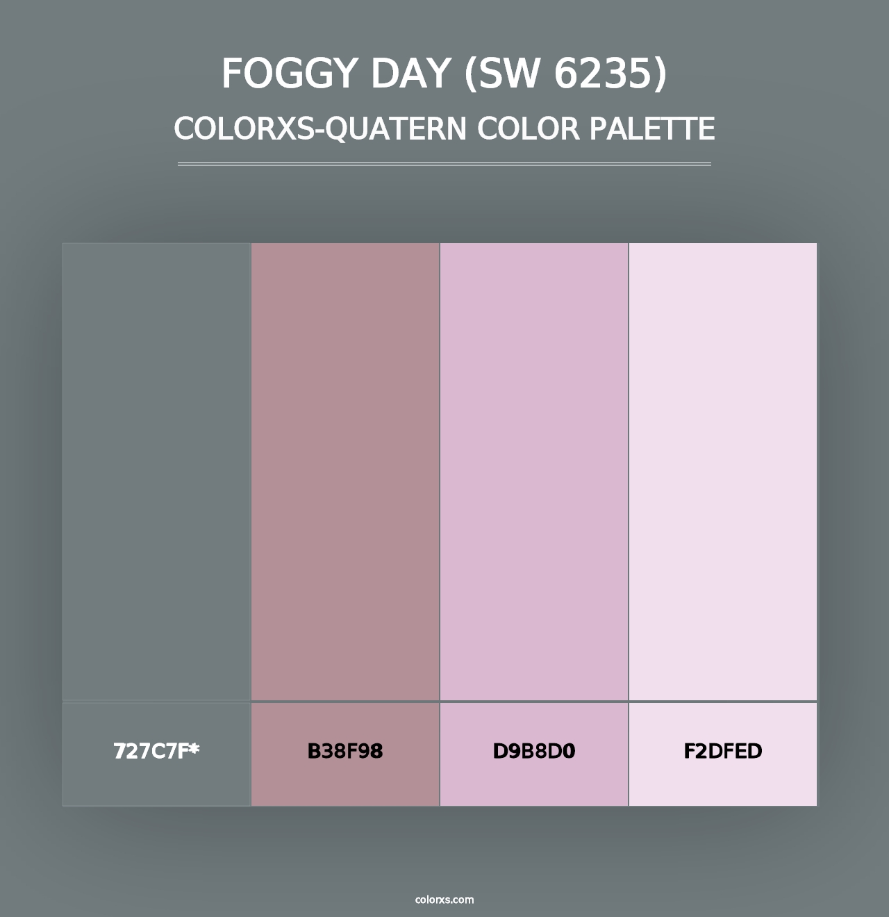 Foggy Day (SW 6235) - Colorxs Quad Palette