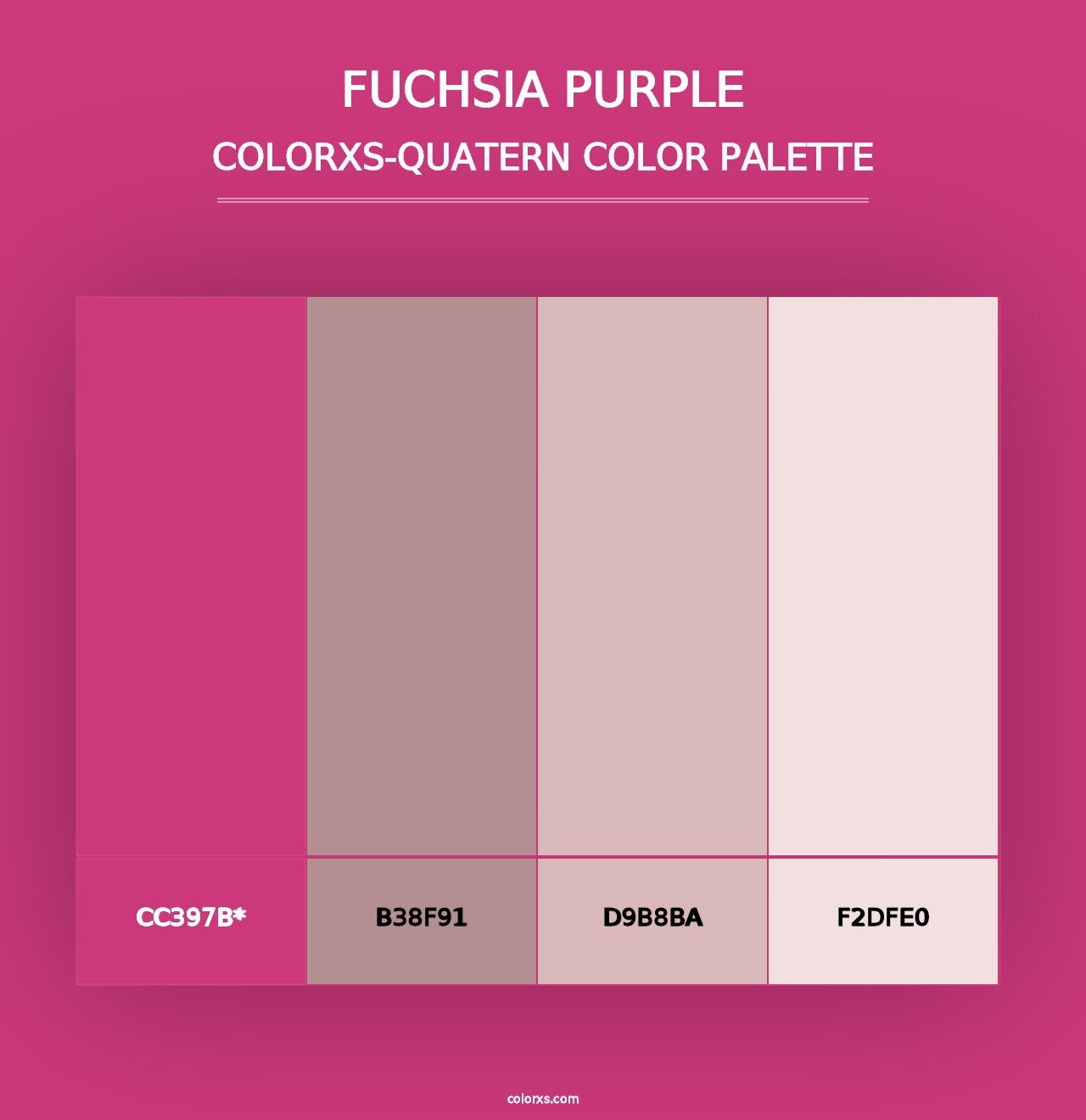 Fuchsia Purple - Colorxs Quad Palette