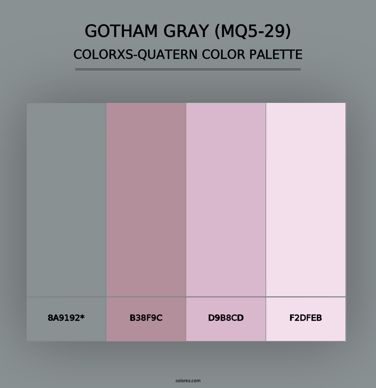 Gotham Gray (MQ5-29) - Colorxs Quad Palette