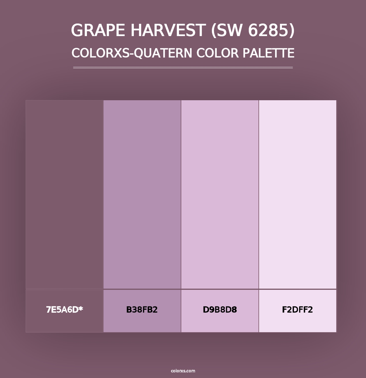 Grape Harvest (SW 6285) - Colorxs Quad Palette