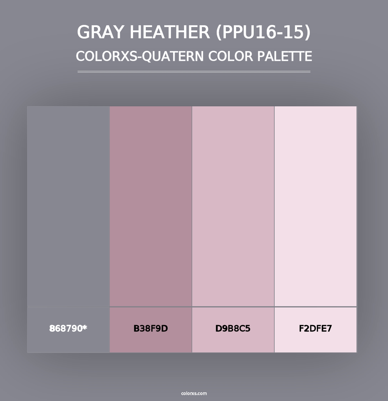 Gray Heather (PPU16-15) - Colorxs Quad Palette