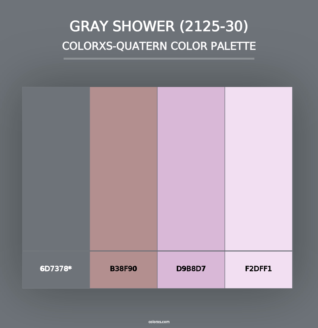 Gray Shower (2125-30) - Colorxs Quad Palette