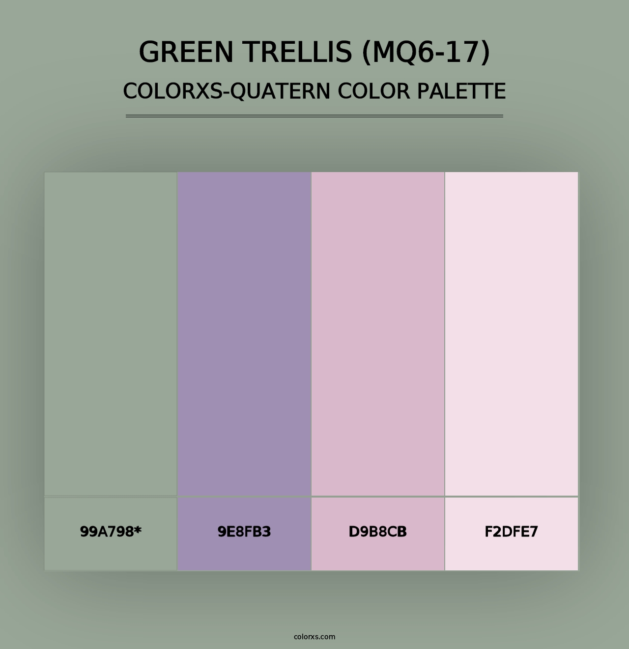 Green Trellis (MQ6-17) - Colorxs Quad Palette