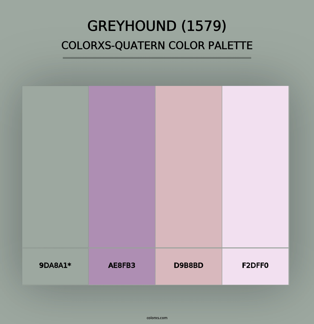 Greyhound (1579) - Colorxs Quad Palette