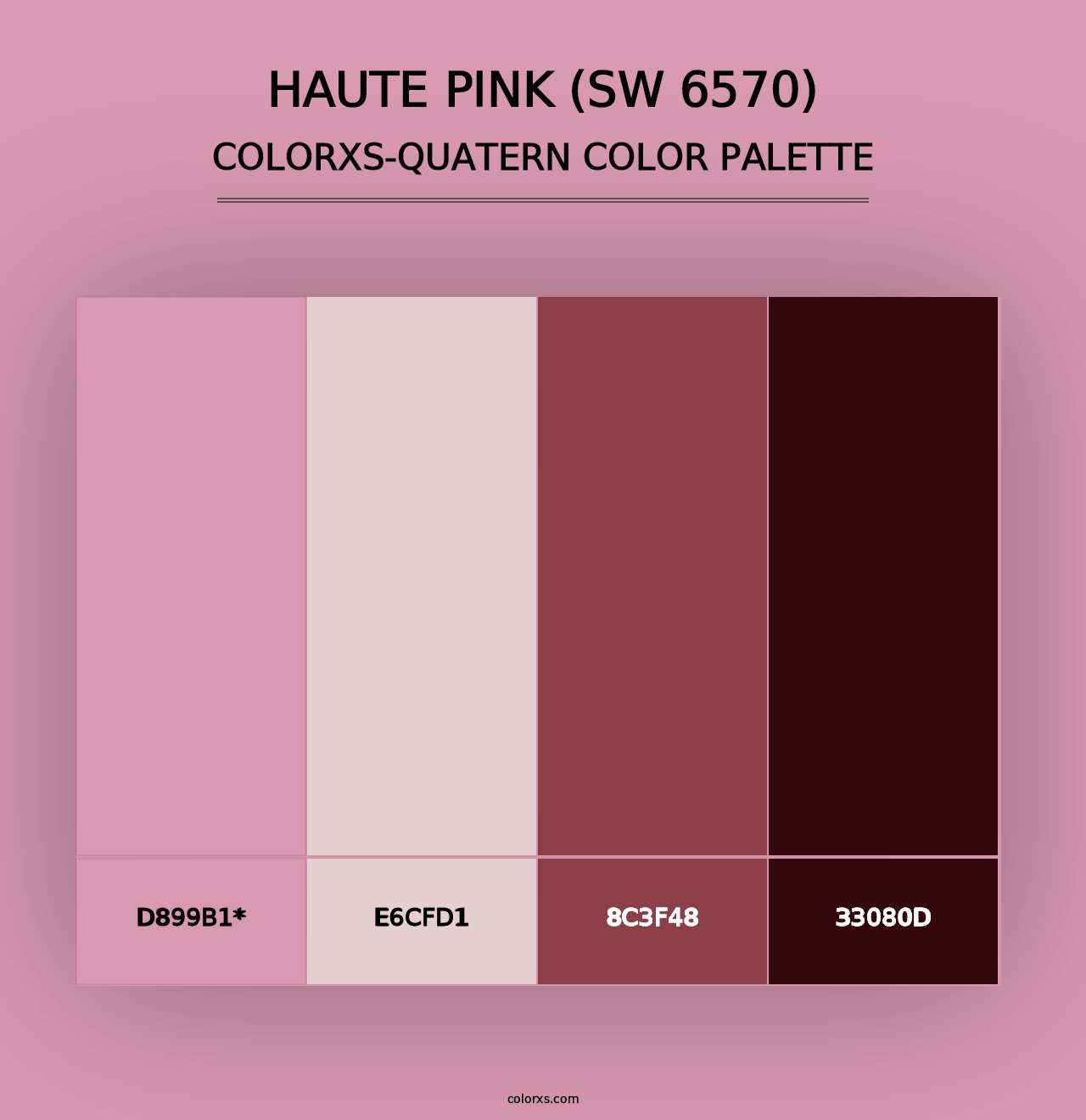 Haute Pink (SW 6570) - Colorxs Quad Palette