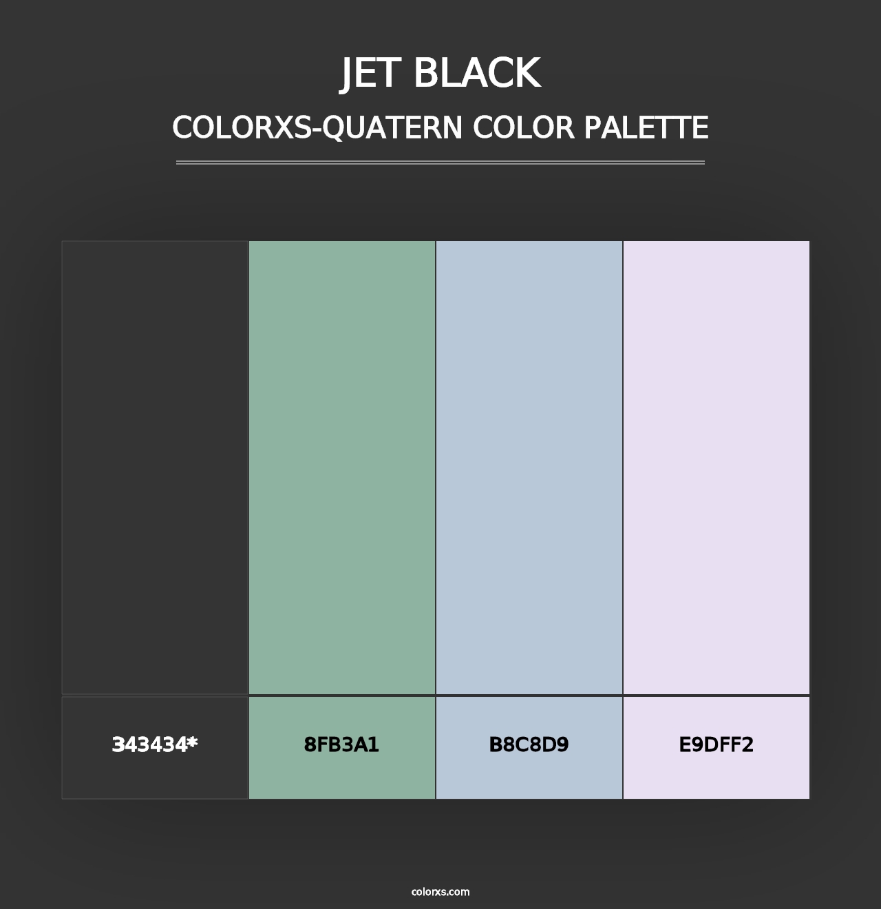 Jet Black - Colorxs Quad Palette